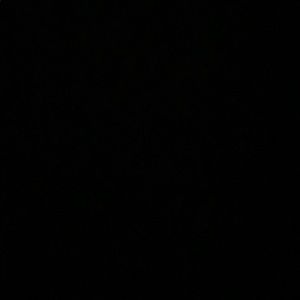 Meet your Posher, Delaney